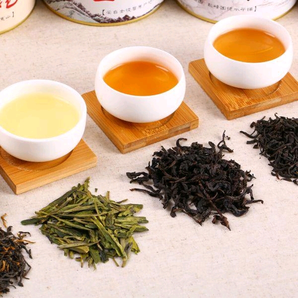 绿茶红茶乌龙茶